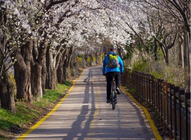 concilier-velo-et-transports-en-commun-avec-un-velo-pliant